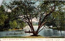 Vintage Postcard Scene on Lake Humboldt Park Chicago IL Illinois 1907      J-436 picture
