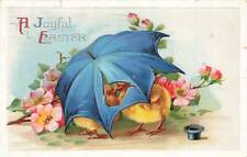 c1910 Fantasy Chicks Under Umbrella Hat Germany Easter P372 picture
