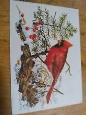 Cardinal Postcard Red Bird picture