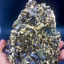 1.9LB A+++Natural  black Crystal Himalayan quartz cluster /mineralsls picture