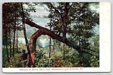 Wilkes-Barre-Scranton PA~Moosic (Rocky Glen) Fallen Tree Near Pond~1908 picture