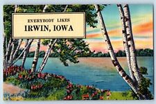 Irwin Iowa IA Postcard Everybody Likes Exterior Lake River 1957 Vintage Antique picture