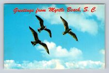 Myrtle Beach SC- South Carolina, Scenic Bird Greetings, Vintage c1975 Postcard picture