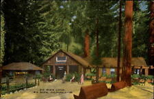 Big Basin California ~ Big Basin Lodge ~ Redwood trees ~ linen postcard sku335 picture