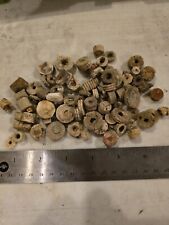 Indiana Fossil Crinoid Stem Sections Large Lot picture