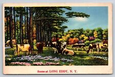 Postcard NY Scenic Greetings From Long Eddy New York c1940s Linen #2 AT11 picture