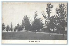 c1920s The Common Street Scene Unity New Hampshire NH Unposted Vintage Postcard picture