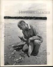 1960 Press Photo Geologist John McDowell hunts for shells near Paris Road picture