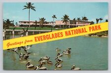 Postcard Greetings From Everglades National Park Florida picture