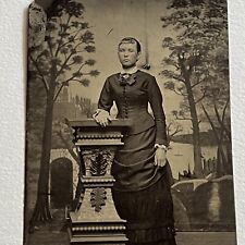 Antique Tintype Studio Photograph Beautiful Young Woman Tree Backdrop picture