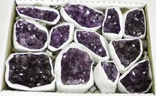 12 Pc Lot Flat Amethyst Crystal Geode Cluster - 3 lbs 8 oz -  Bulk  - AMY262F picture
