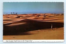 Sand Dunes Coast OR Postcard Landscape picture
