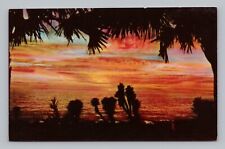 Postcard Tropical Sunset Along the Florida Coast picture