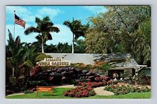 Sarasota FL-Florida, Sarasota Jungle Gardens, Antique Vintage Souvenir Postcard picture