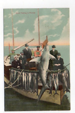 DB Postcard, Good Fishing in Florida, 1908 picture