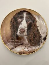 Danbury Mint Cherished Springer Spaniel Collector Plate Eyes of Love 1990's Vint picture