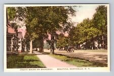 Monticello NY-New York, Pretty Walks On Broadway, Antique Vintage Postcard picture