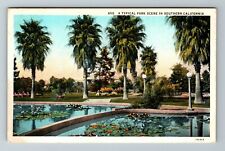 CA-California, A Typical Park Scene In Southern California, Vintage Postcard picture