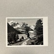 Vintage Piz Roseg and Sella Group Alps B&W Vintage Postcard 1923 - Swiss Scenery picture
