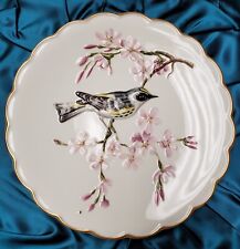Dorothy Doughty China Plate  Myrtle Warbler & Cherry - 1973 Royal Worcester 4/4 picture