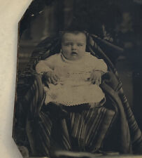 Tintype Antique Photo beautiful infant baby. grp 13 picture