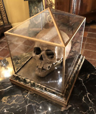 Antique Skull Vanity Memento Mori Terracotta Showcase Pyramid Masonic Rare 19th picture