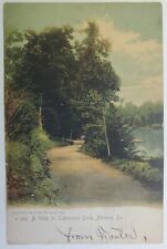 Altoona, PA Pennsylvania A Walk in Lakemont Park Road by Lake 1908 Postcard b69 picture