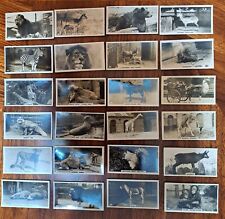1927 WD & HO Wills Zoo Complete Set (50) Gold Flake Cigarette Cards NM Honey Dew picture
