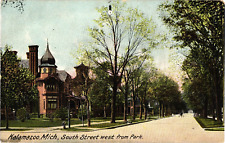 View of South Str West of the Park Kalamazoo Michigan Divided Postcard c1910s picture