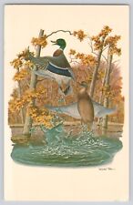 Postcard Illinois Griggsville Wild Bird Society Richard Sloan Signed Vintage picture