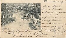 1901 Clarence Ave NY PC Donkey w/ cart, stone wall, The Albertype Co. Brooklyn picture