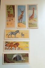 Vintage Welch Nabisco Sugar Daddy Animal Cards Series  Collection Lot Of 7 picture