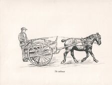 ORIGINAL VINTAGE HORSE SKETCH ART PRINT PAGE BY K F BARKER 1937 