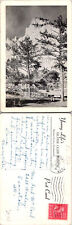 Young Life's Silver Cliff Ranch Buena Vista CO Postcards used 51864 picture