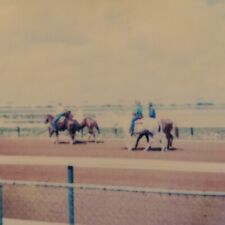 Vintage Polaroid Photo People Riding Horses Dirt Track Moody Found Art Snapshot picture