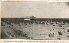 Miama Valley Fruit Farm Fort Ft. Valley Georgia GA c1910 Postcard picture