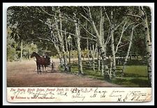 St. Louis Missouri Birch Drive Postcard Posted 1905 Horse and Buggy    pc109 picture