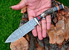 Custom Made Antler Hunting Knife Tactical / Hand Forged Damascus Steel 2793 picture