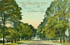Selma AL Tree Lined Alabama Street 1912 picture