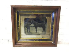 Antique Silver Gelatin Tintype Photo Photograph of Man & Horse picture
