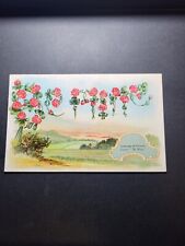Flower Postcard The Language Of Flowers Clover Be Mine Vintage picture