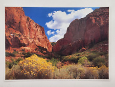 Postcard - Kolob Canyons -Yellow flowers  Zion National Park, Utah Unposted picture
