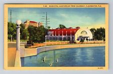Clearwater FL-Florida, Municipal Auditorium, Causeway, Vintage c1949 Postcard picture