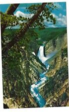 Lower Falls and Grand Canyon of the Yellowstone, Wyoming c1950's Unused Postcard picture