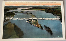 Muscle Shoals Alabama~View From Tennessee River Below Bridge~1920s Postcard picture