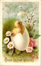 vintage postcard - Hatching baby chick pussywillows pink daisies Easter wishes picture