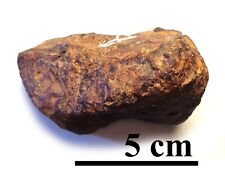 Meteorite Seymchan complete piece that contain olivines, 630 grams picture
