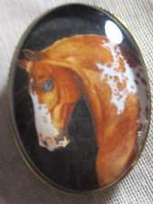 XL GLASS DOME PIC BUTTON HANDSOME BROWN & WHITE HORSE   1-1/2 picture
