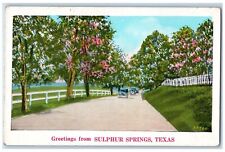 Greetings From Sulphur Springs Texas TX, Road Cars Tree Flowers View Postcard picture