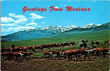 Greetings Big Sky Country Cowboy On Horse Herding Cows Montana MT Postcard L61 picture
